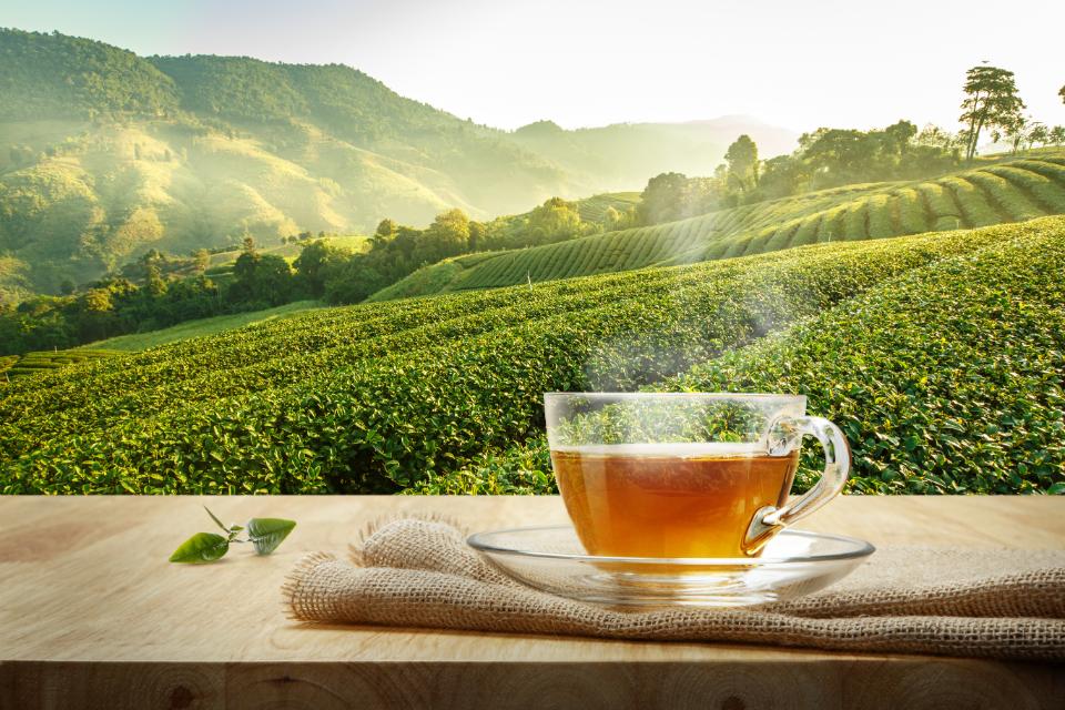 Steaming tea overlooking lush green plantation.